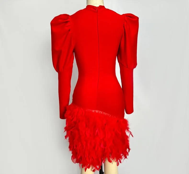 ARZU Long Sleeve Feathers Bandage Dress