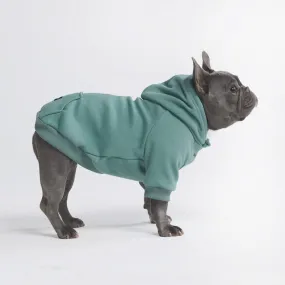 Essential Dog Hoodie - Teal